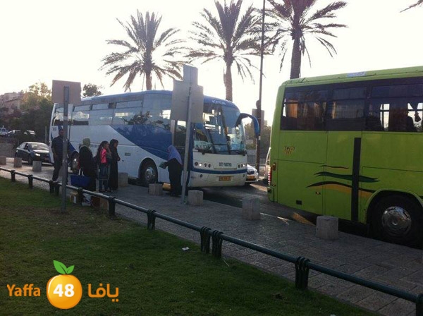 byareq 2 busses (18).jpg